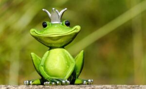160+ Frog Puns: Leap into Laughter and Hoppiness