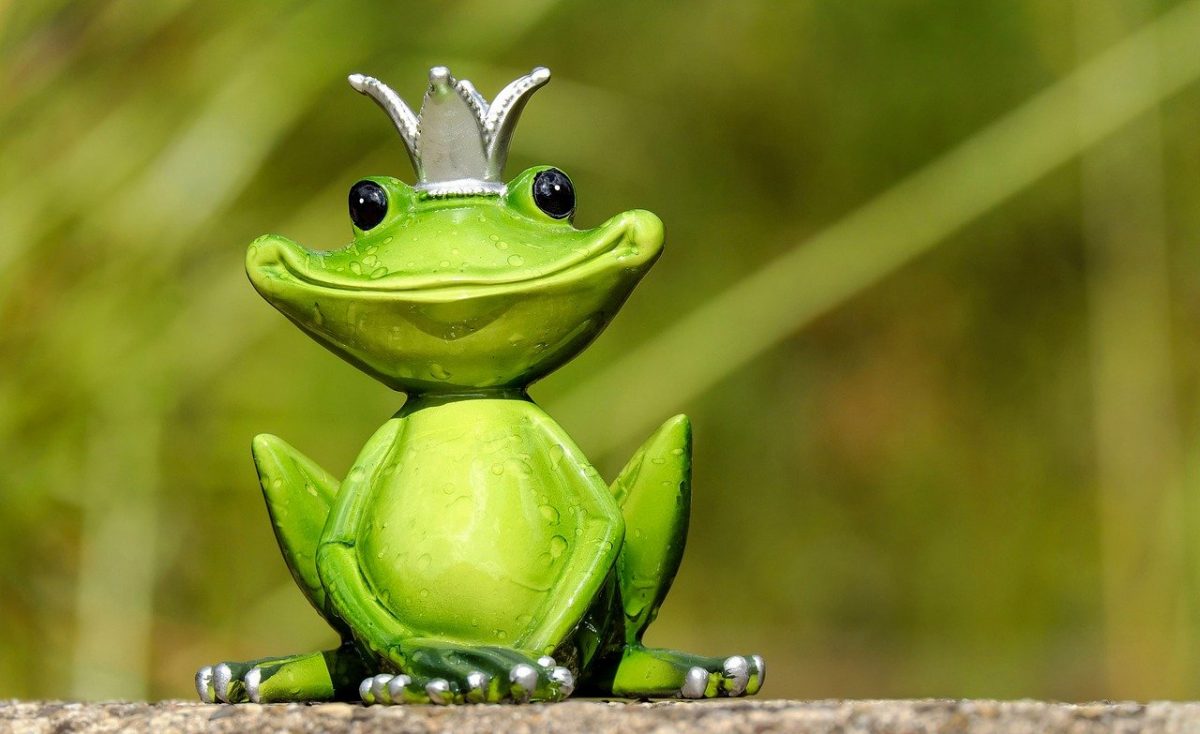 160+ Frog Puns: Leap into Laughter and Hoppiness