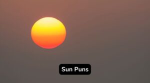 315+ Sun Puns to Brighten Your Day