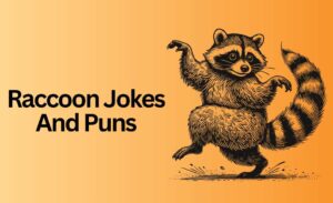 220 Hilarious Raccoon Puns That Will Make You Laugh Out Loud