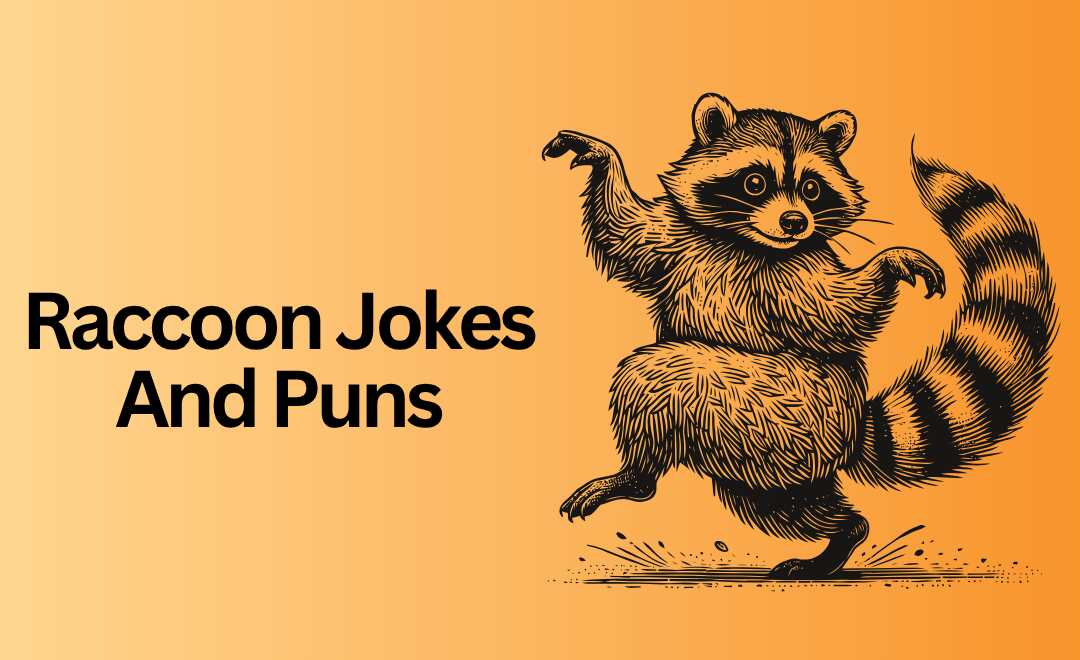 220 Hilarious Raccoon Puns That Will Make You Laugh Out Loud