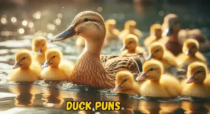 260 Hilarious Duck Puns to Quack Up Your Conversations